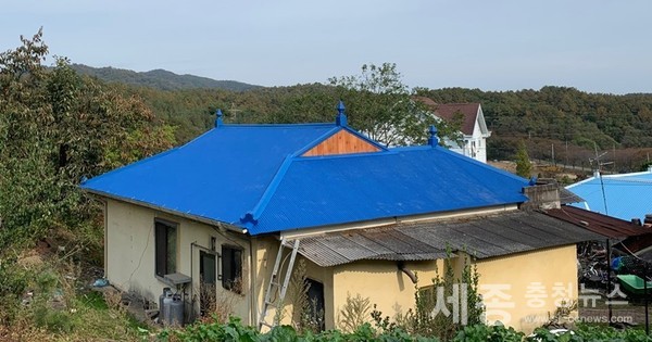 조모씨 지붕수리 사진