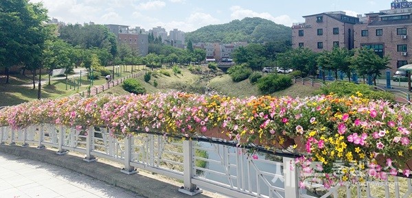 천안 천변 공원