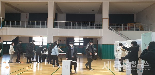 학생회장 선거 사진
