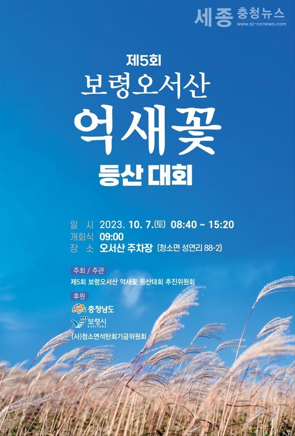 제5회 보령오서산 억새꽃 등산대회 포스터.